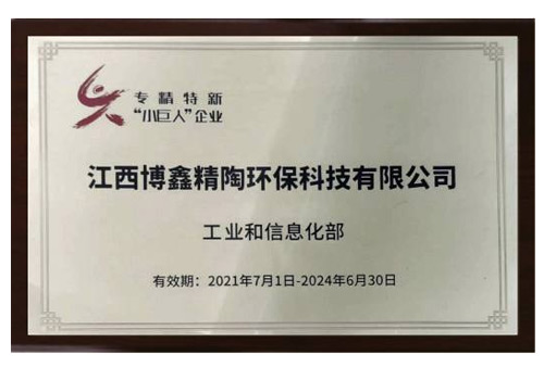 专精特新“小巨人”企业